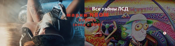 не бодяженный Новодвинск