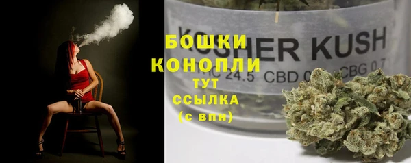 дмт Новокубанск