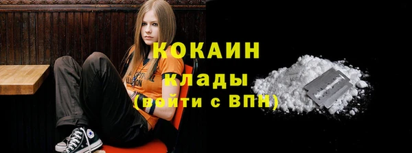 дмт Новокубанск