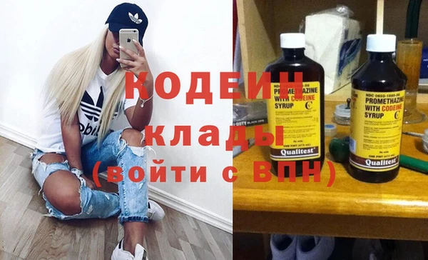 индика Нея