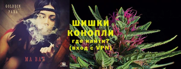 не бодяженный Новодвинск