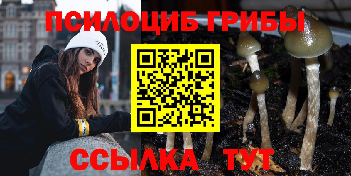 Галлюциногенные грибы прущие грибы Магадан